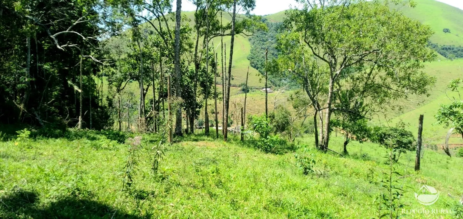 Terreno à venda de 145 ha em Monteiro Lobato, SP, Brasil