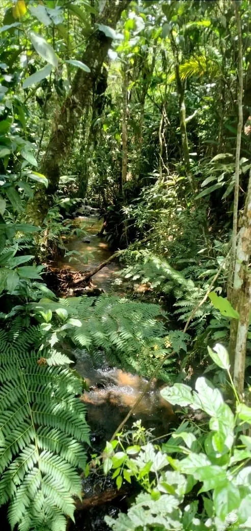 Terreno à venda de 145 ha em Monteiro Lobato, SP, Brasil