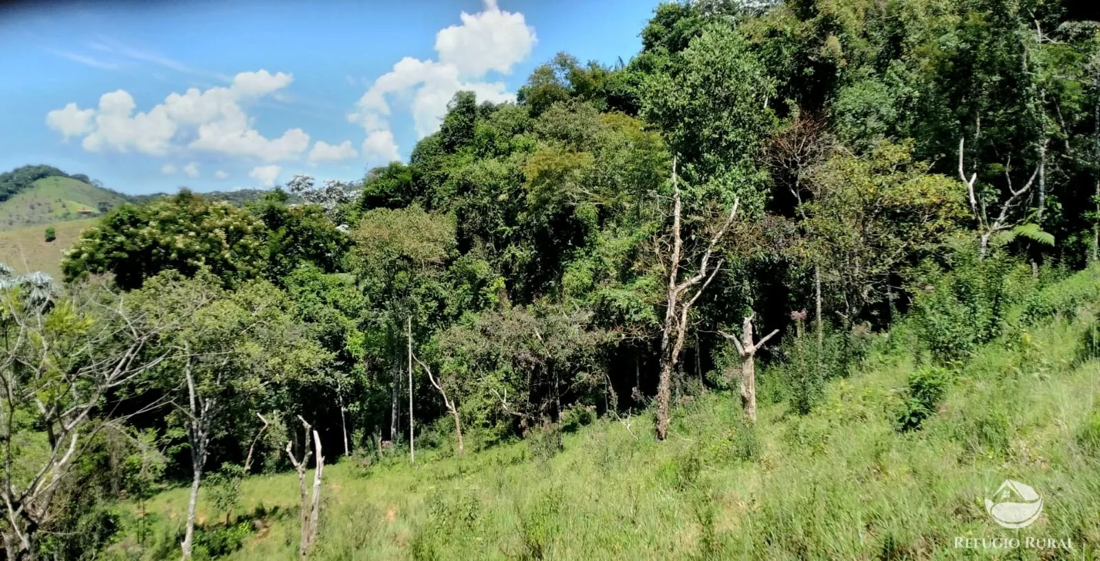 Terreno à venda de 145 ha em Monteiro Lobato, SP, Brasil
