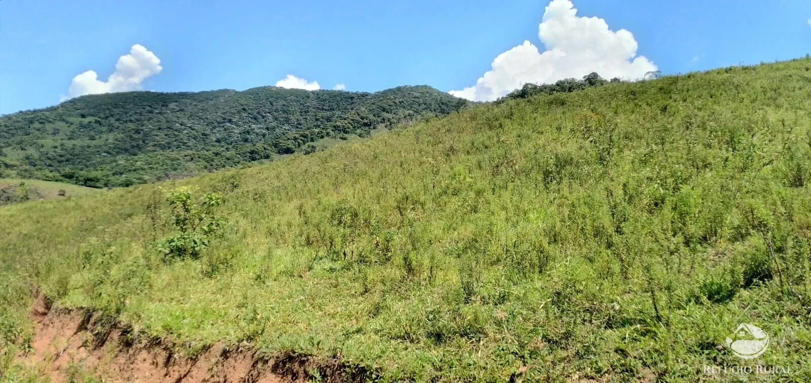 Terreno à venda de 145 ha em Monteiro Lobato, SP, Brasil
