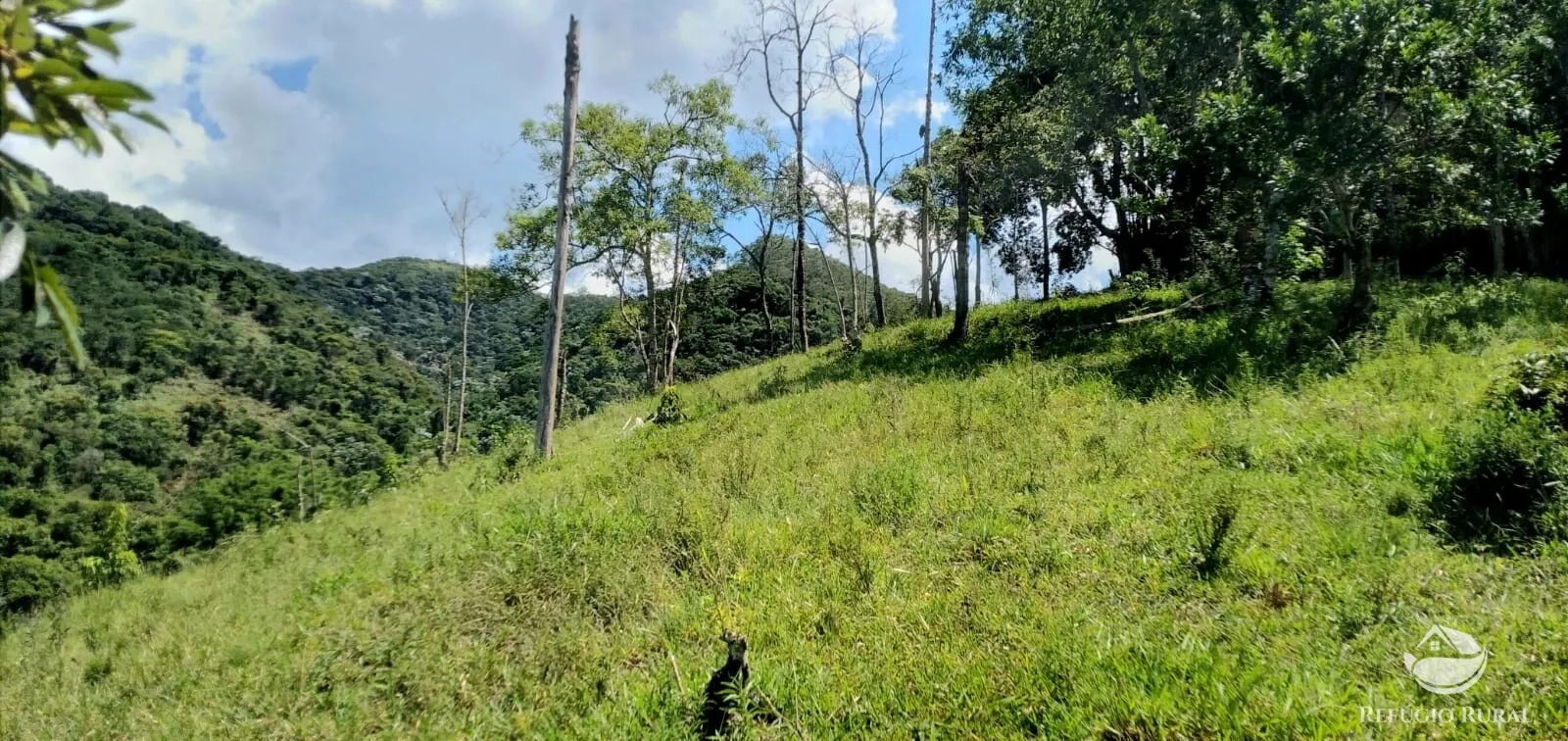 Terreno à venda de 145 ha em Monteiro Lobato, SP, Brasil