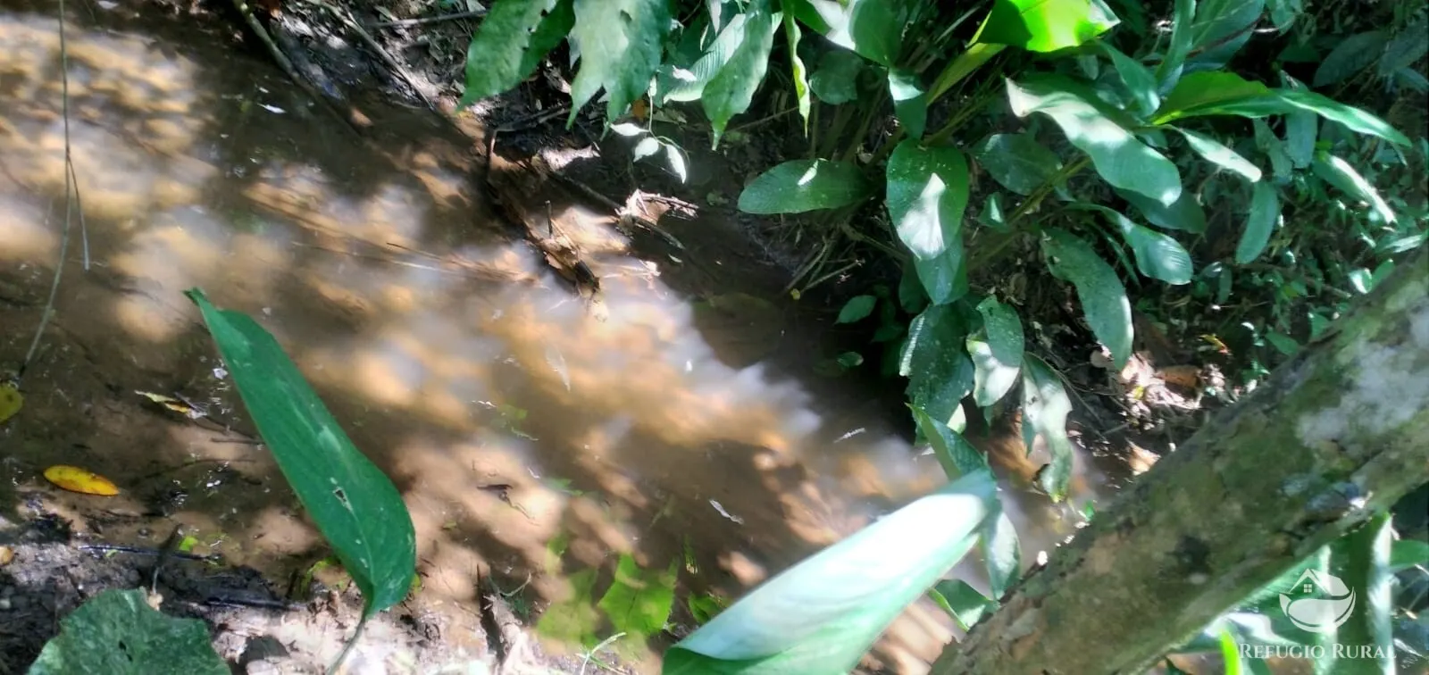 Terreno à venda de 145 ha em Monteiro Lobato, SP, Brasil
