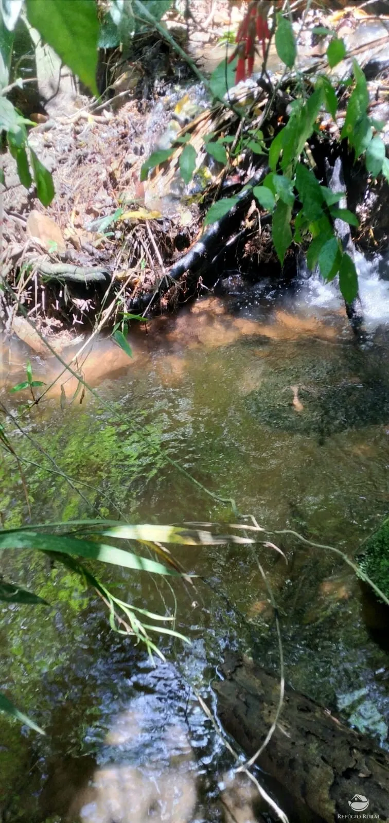 Terreno à venda de 145 ha em Monteiro Lobato, SP, Brasil