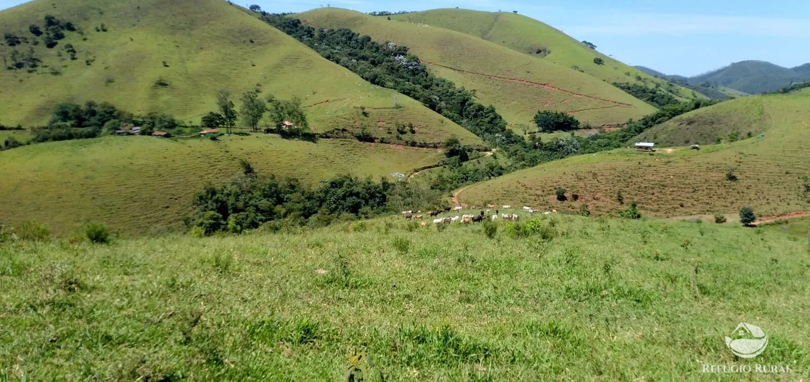 Terreno à venda de 145 ha em Monteiro Lobato, SP, Brasil