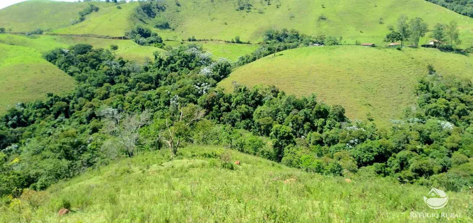 Terreno à venda de 145 ha em Monteiro Lobato, SP, Brasil