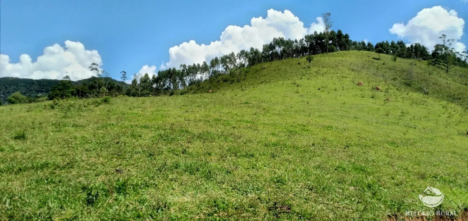 Terreno à venda de 145 ha em Monteiro Lobato, SP, Brasil
