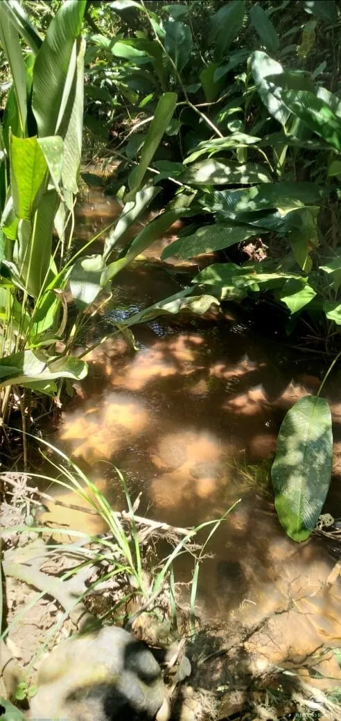 Terreno à venda de 145 ha em Monteiro Lobato, SP, Brasil