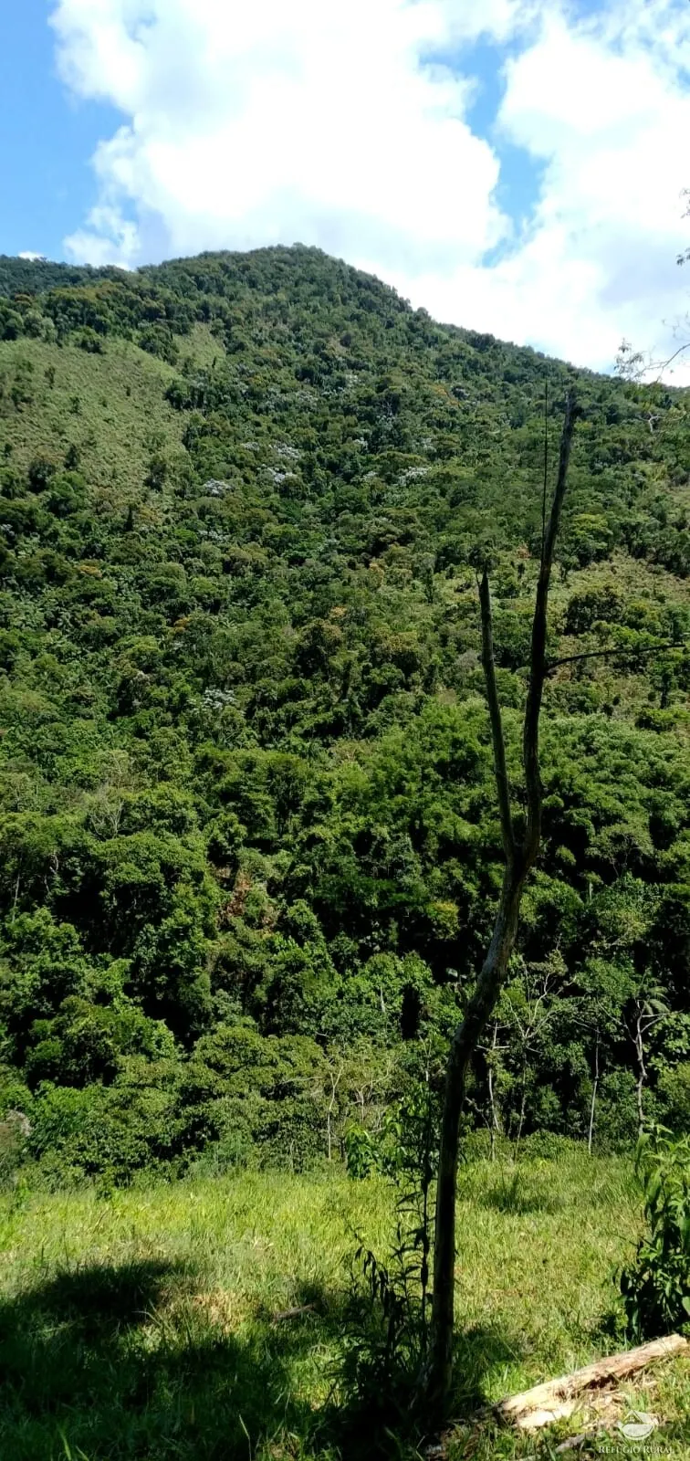 Terreno à venda de 145 ha em Monteiro Lobato, SP, Brasil