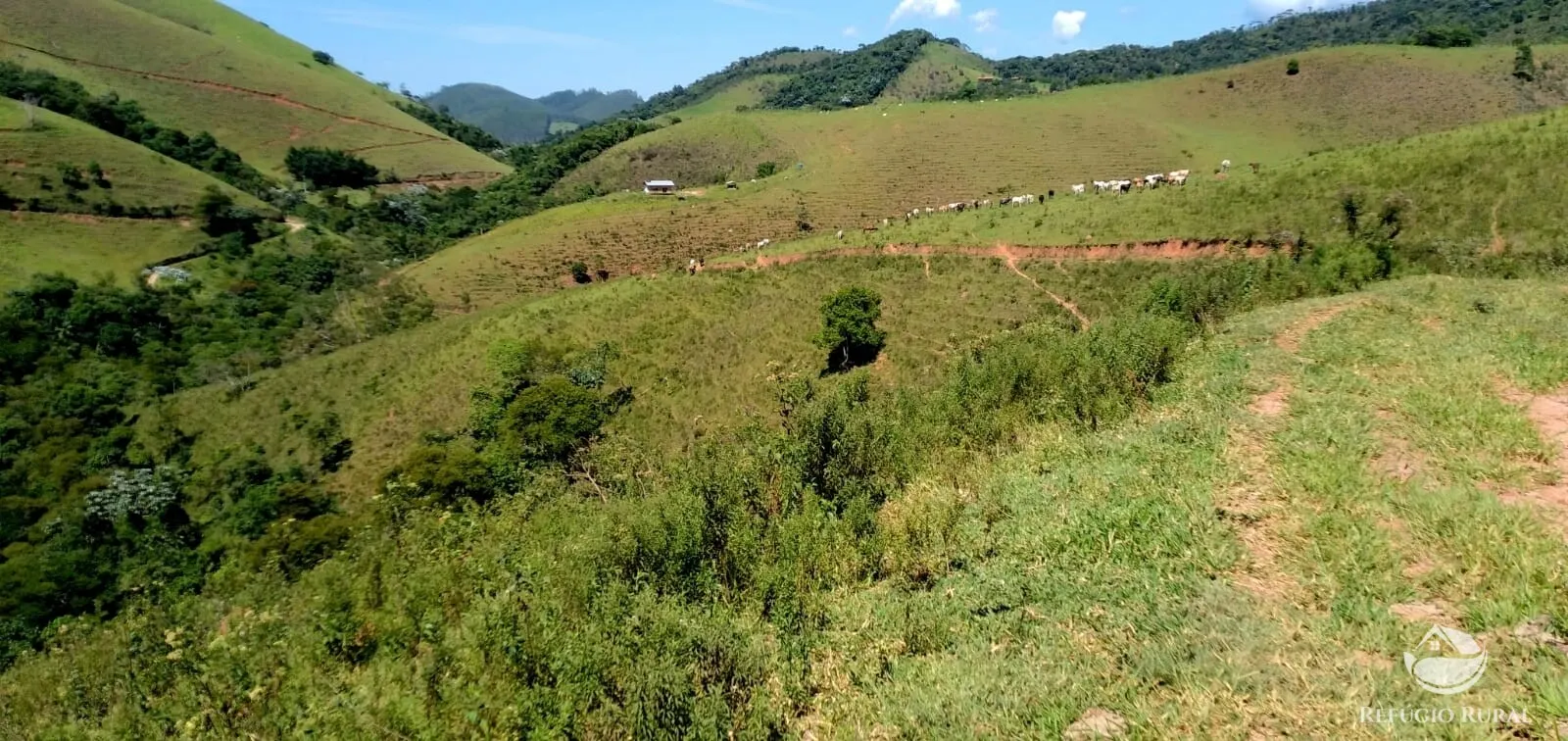 Terreno à venda de 145 ha em Monteiro Lobato, SP, Brasil