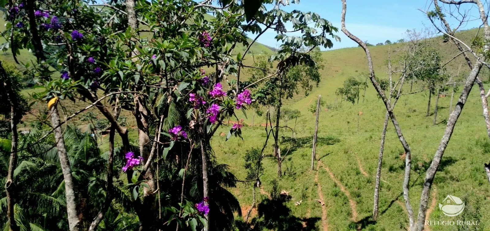 Terreno à venda de 145 ha em Monteiro Lobato, SP, Brasil