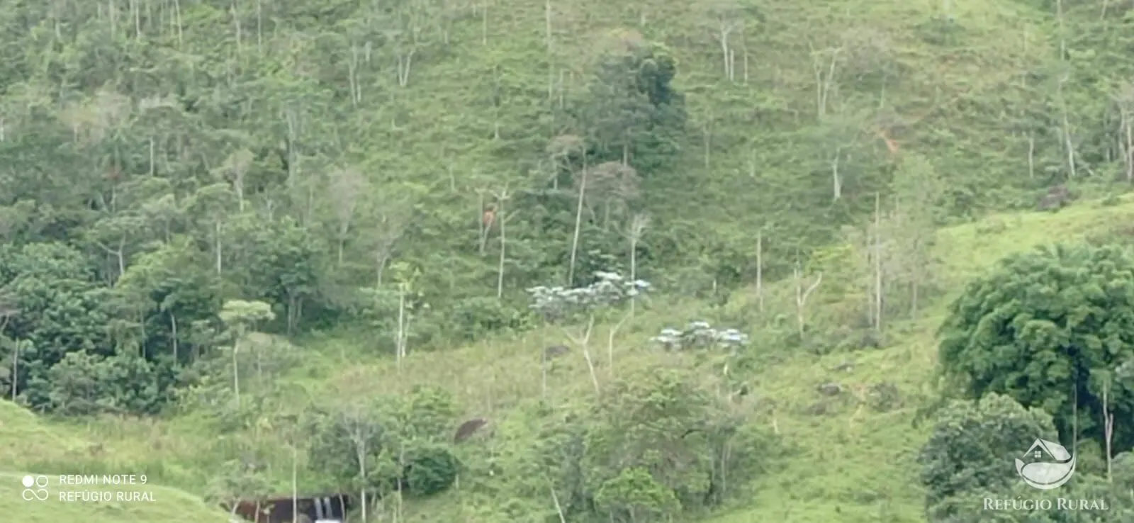 Terreno à venda de 145 ha em Monteiro Lobato, SP, Brasil