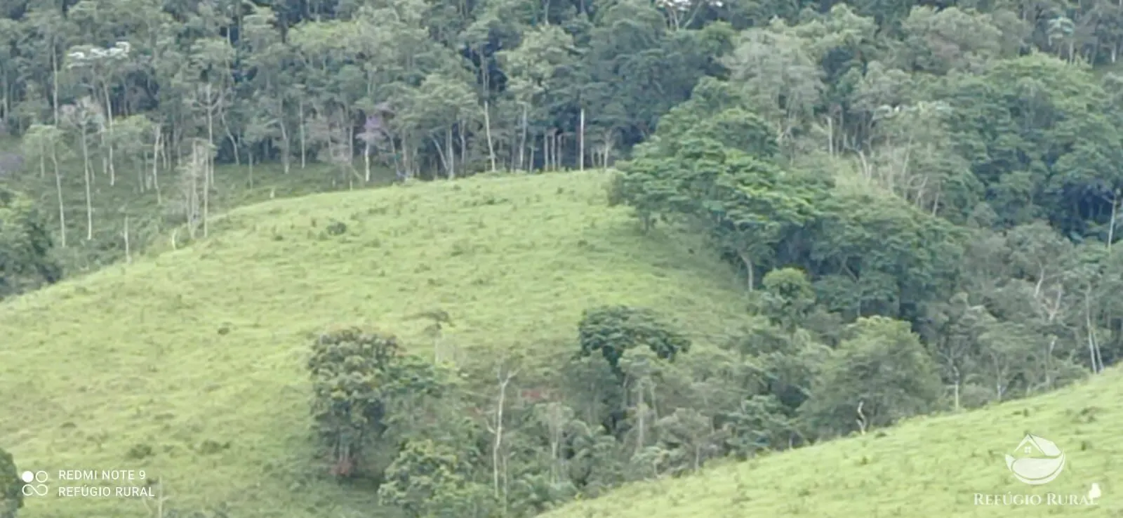 Terreno à venda de 145 ha em Monteiro Lobato, SP, Brasil