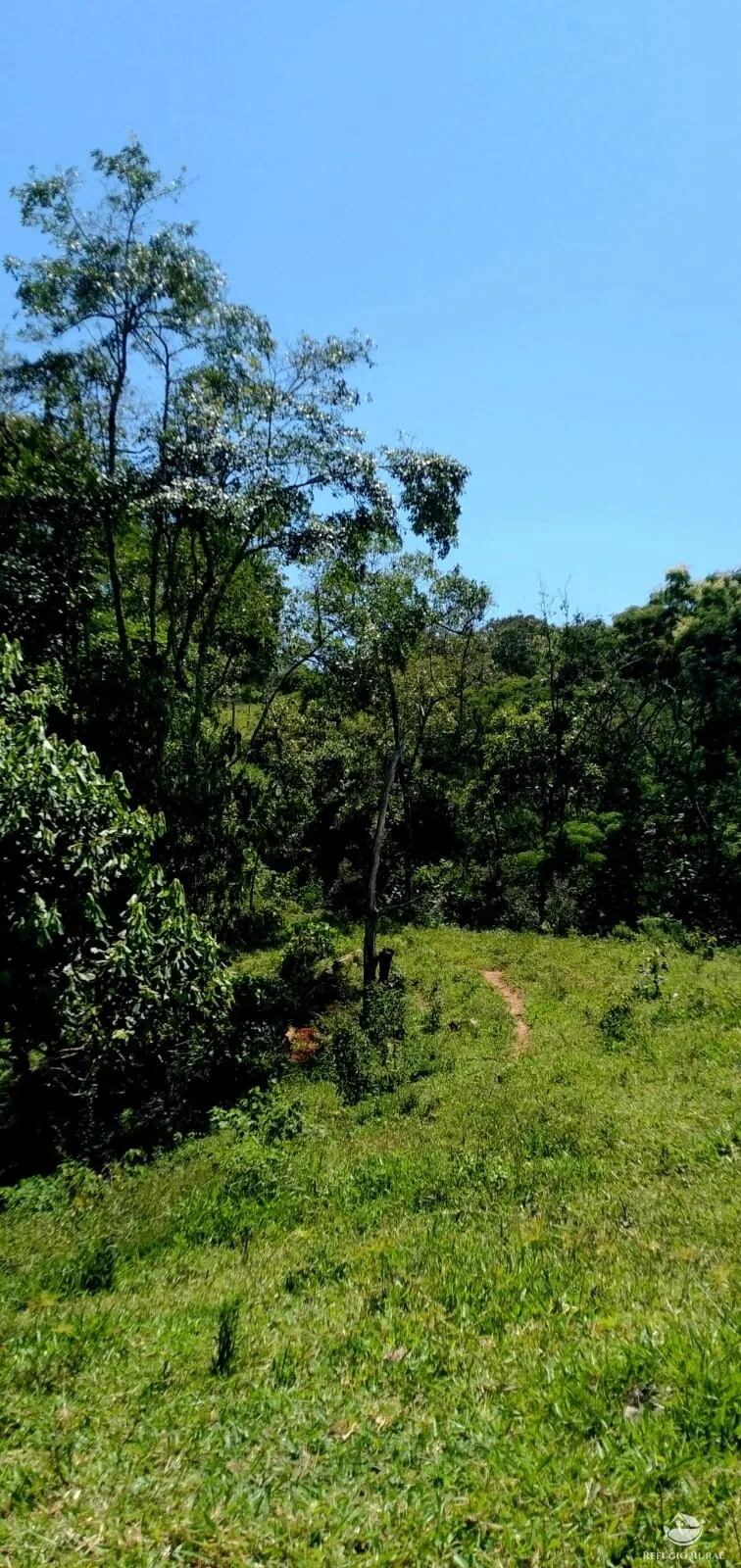 Terreno à venda de 145 ha em Monteiro Lobato, SP, Brasil
