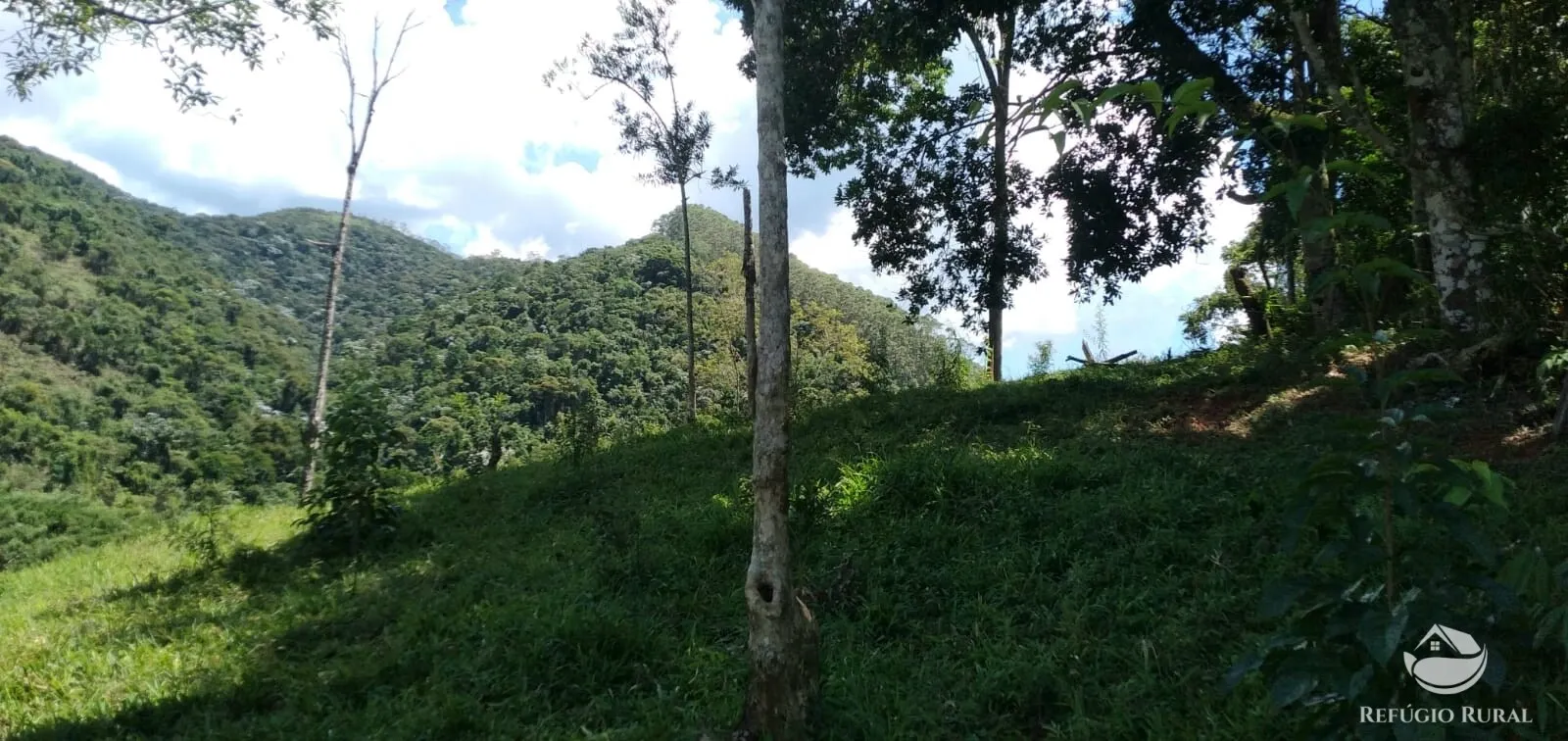 Terreno à venda de 145 ha em Monteiro Lobato, SP, Brasil