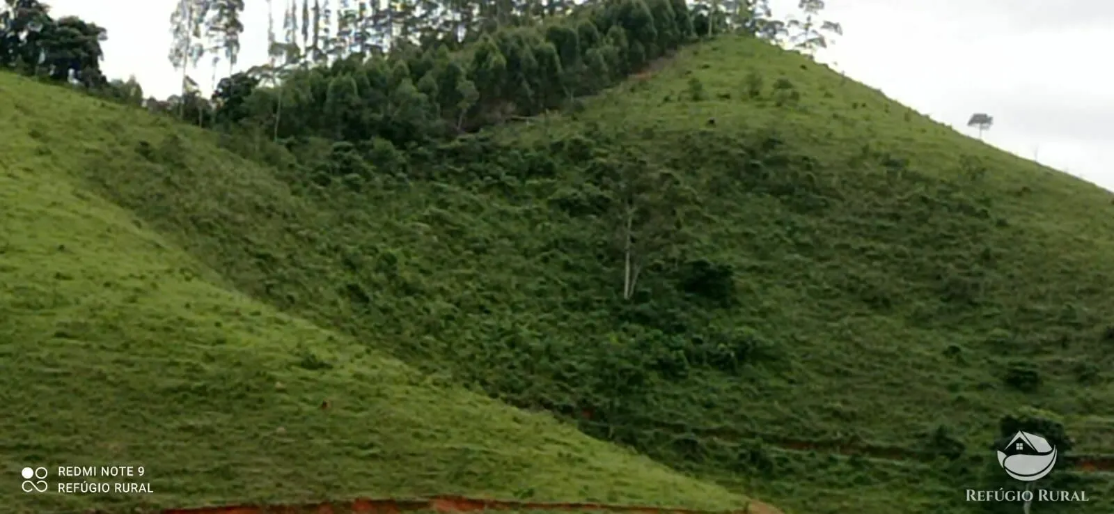 Terreno à venda de 145 ha em Monteiro Lobato, SP, Brasil
