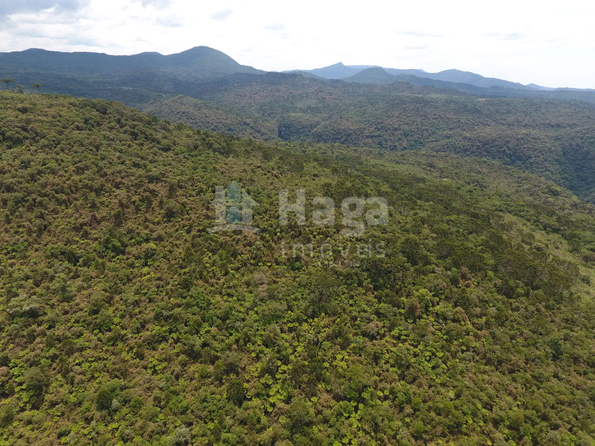 Farm for sale of 5 acres in Rio Rufino, SC, Brazil