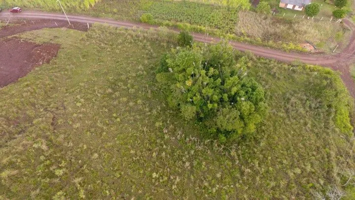 Chácara à venda de 4.800 m² em Santo Antônio da Patrulha, RS, Brasil