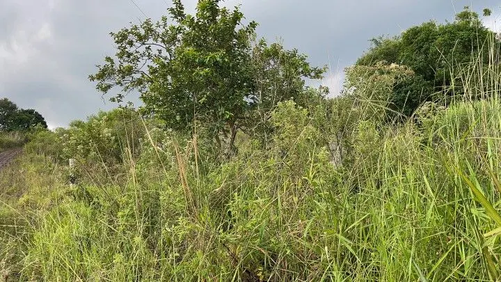 Chácara à venda de 4.800 m² em Santo Antônio da Patrulha, RS, Brasil