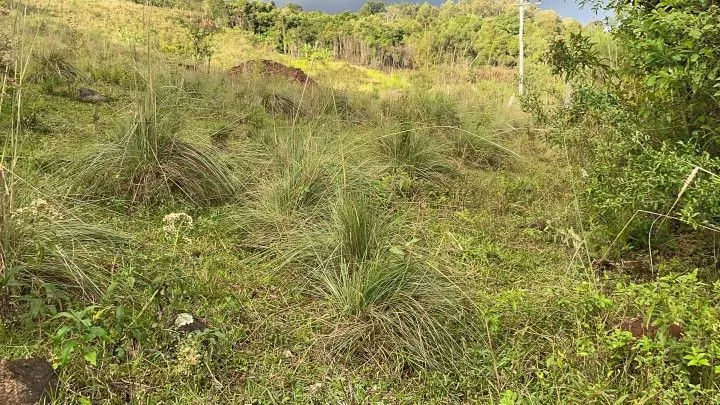 Chácara à venda de 4.800 m² em Santo Antônio da Patrulha, RS, Brasil