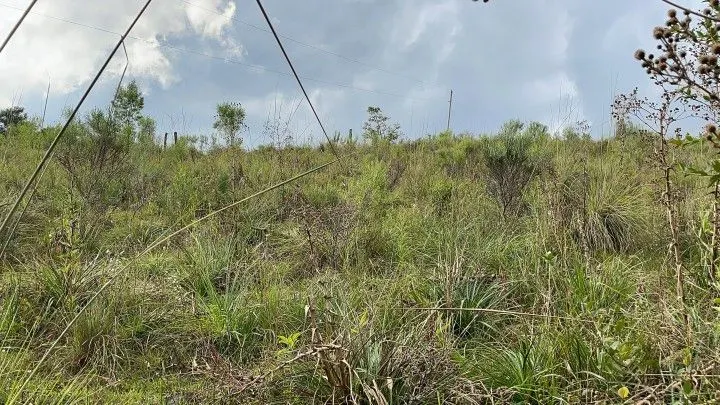 Chácara à venda de 4.800 m² em Santo Antônio da Patrulha, RS, Brasil