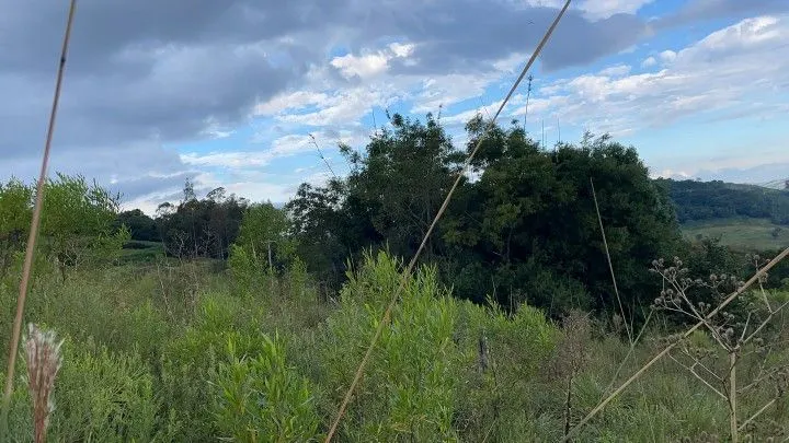 Chácara à venda de 4.800 m² em Santo Antônio da Patrulha, RS, Brasil