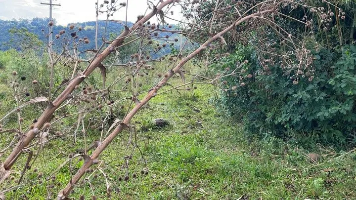 Chácara à venda de 4.800 m² em Santo Antônio da Patrulha, RS, Brasil