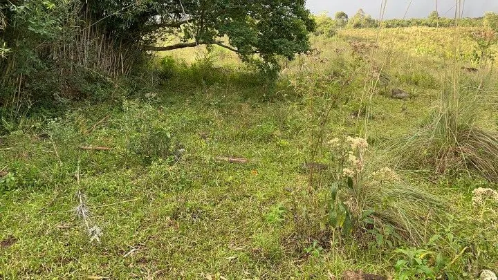 Chácara à venda de 4.800 m² em Santo Antônio da Patrulha, RS, Brasil