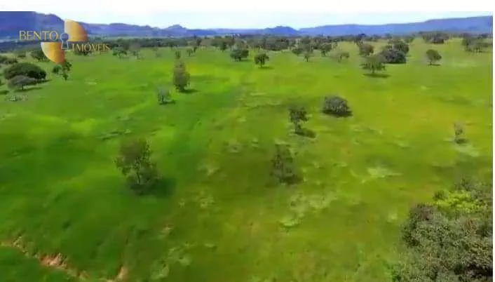 Fazenda à venda de 680 ha em Rondonópolis, MT, Brasil