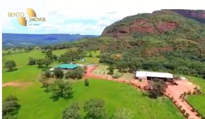 Fazenda à venda de 680 ha em Rondonópolis, MT, Brasil