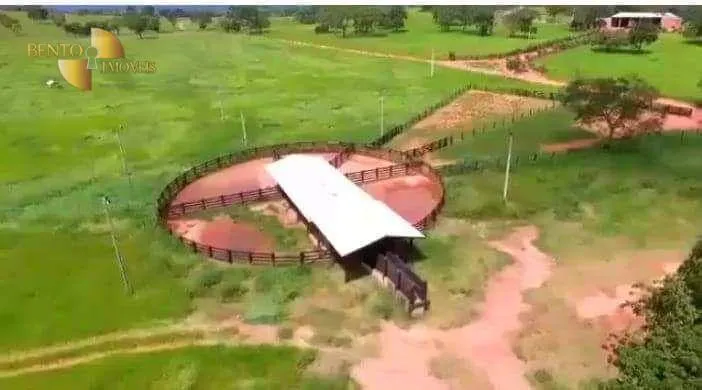 Fazenda à venda de 680 ha em Rondonópolis, MT, Brasil