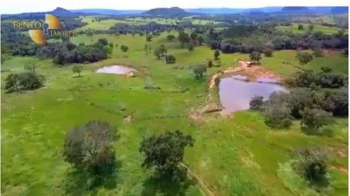 Fazenda à venda de 680 ha em Rondonópolis, MT, Brasil