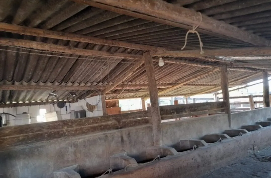 Sítio à venda de 73 ha em Angatuba, SP, Brasil