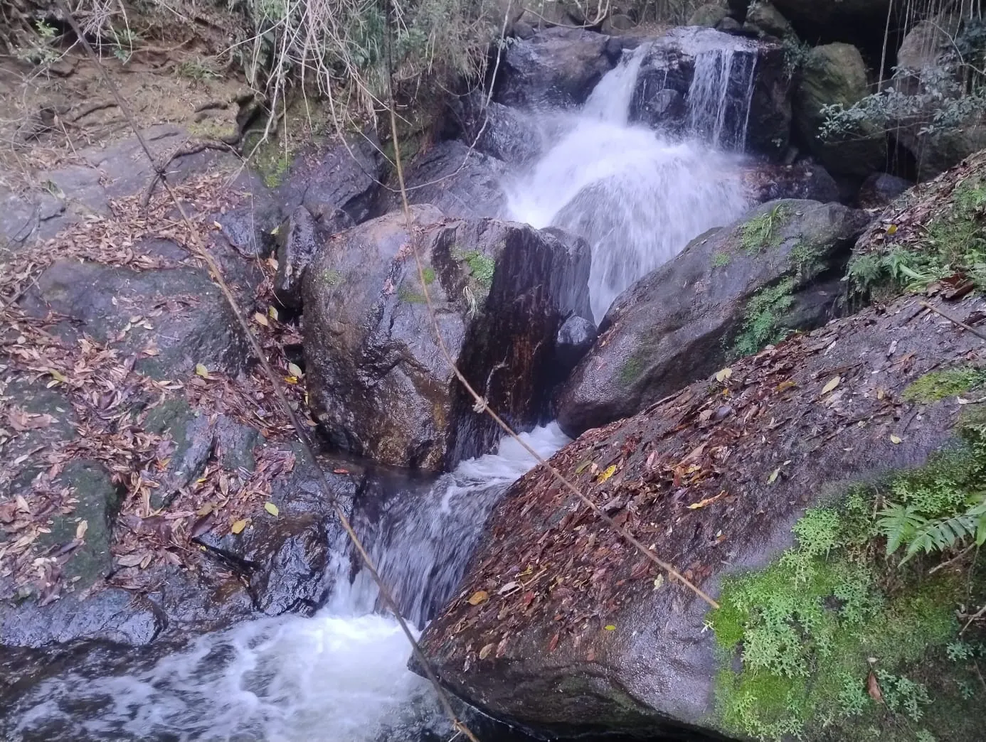 Terreno à venda de 24 ha em Bocaina de Minas, MG, Brasil