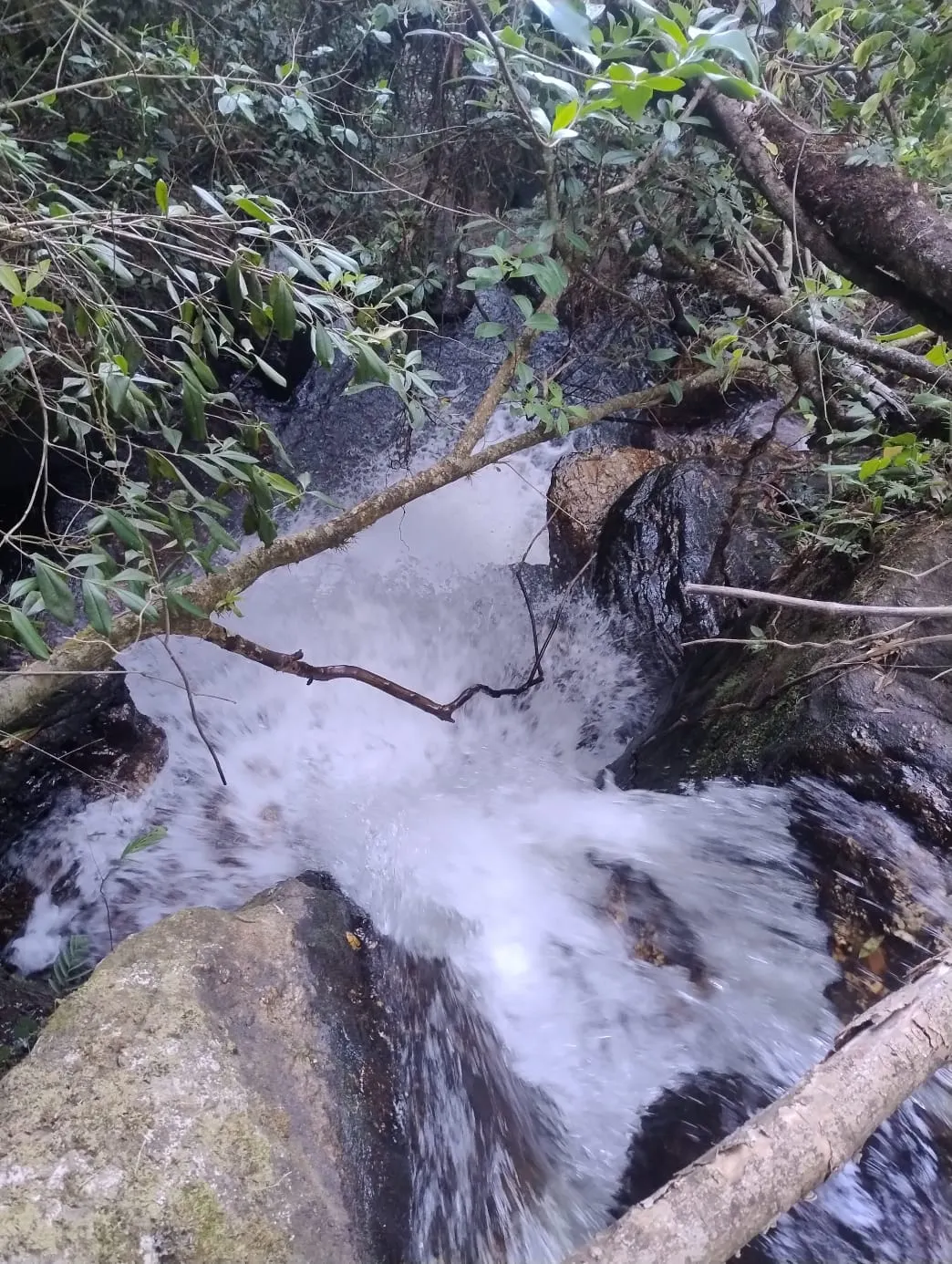 Terreno à venda de 24 ha em Bocaina de Minas, MG, Brasil