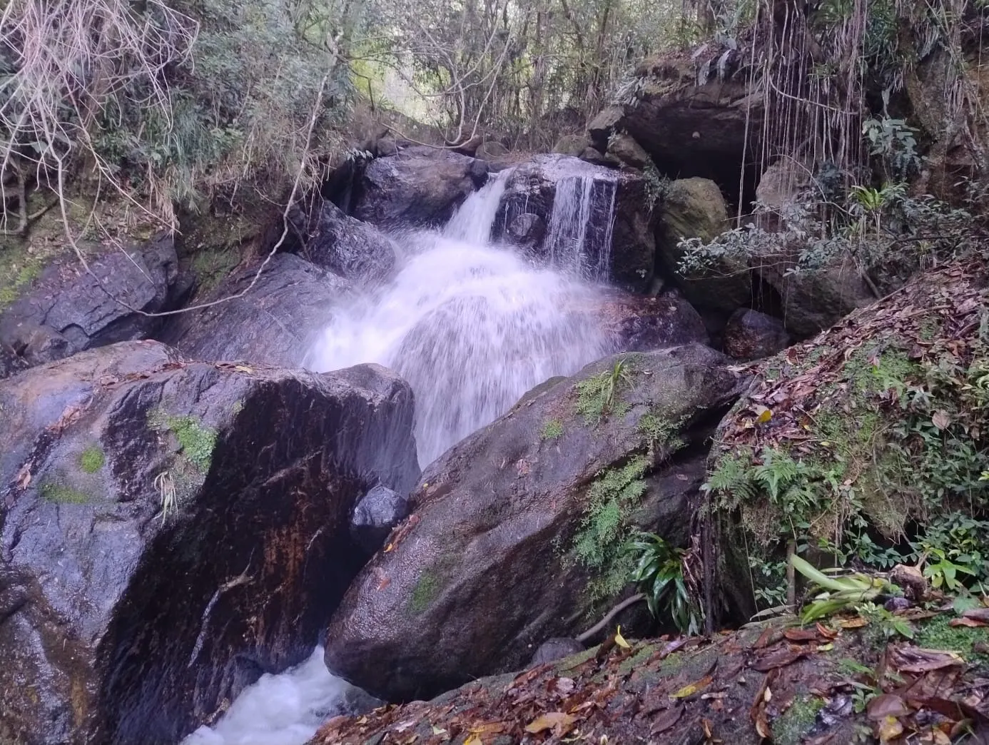 Terreno à venda de 24 ha em Bocaina de Minas, MG, Brasil