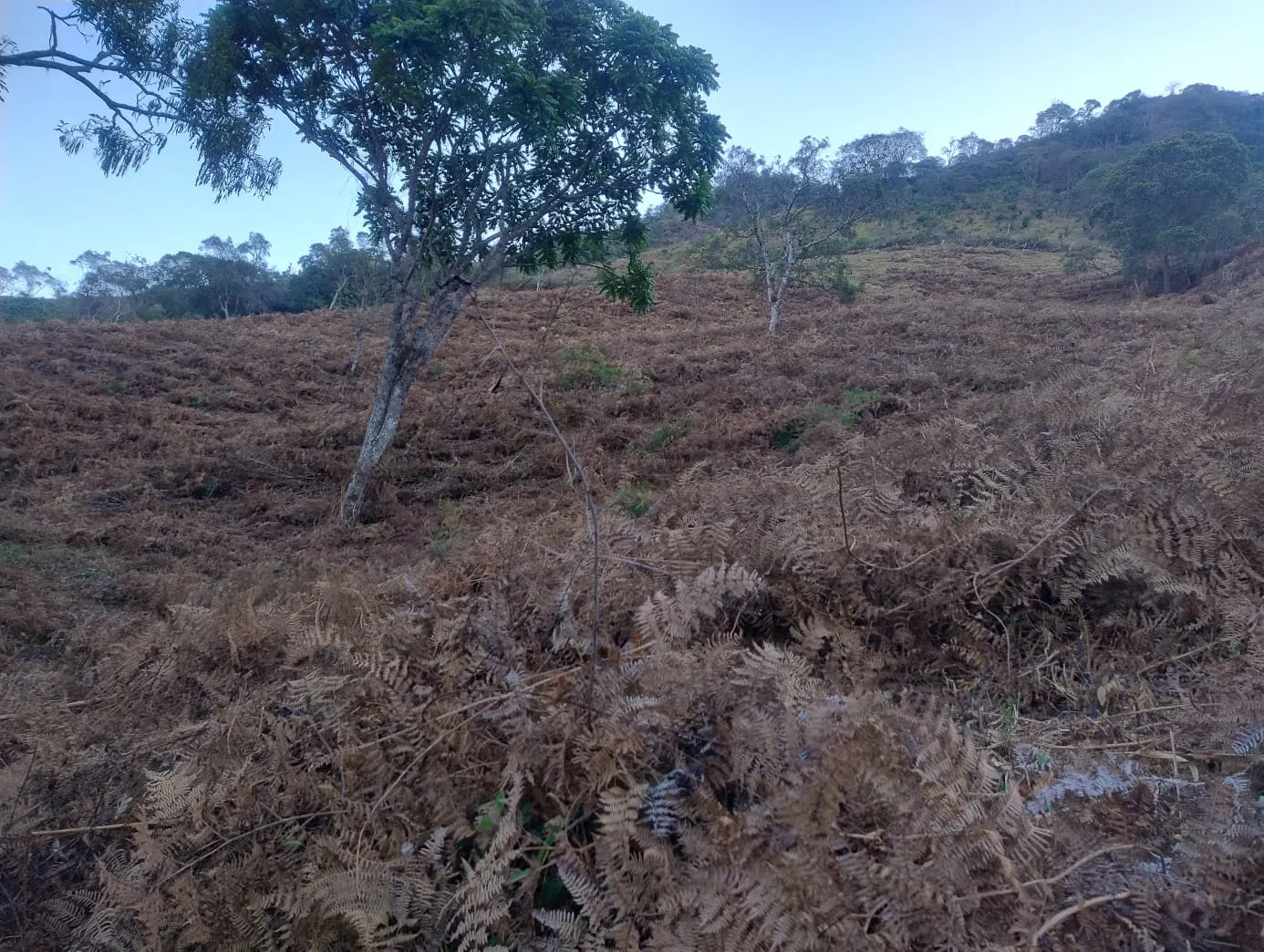 Terreno à venda de 24 ha em Bocaina de Minas, MG, Brasil