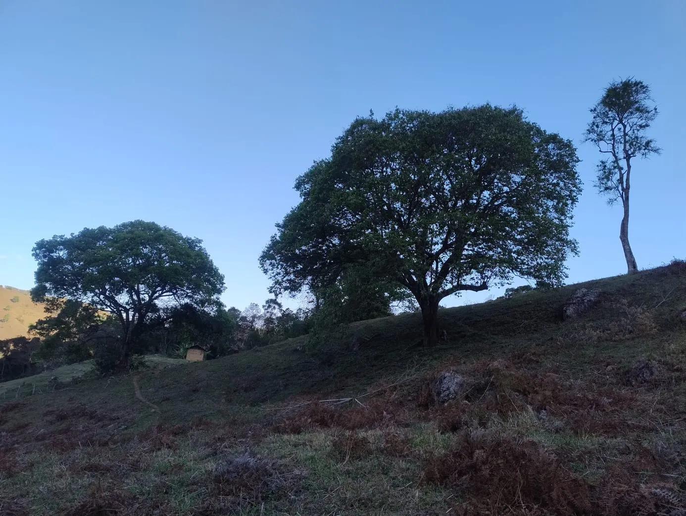 Terreno à venda de 24 ha em Bocaina de Minas, MG, Brasil