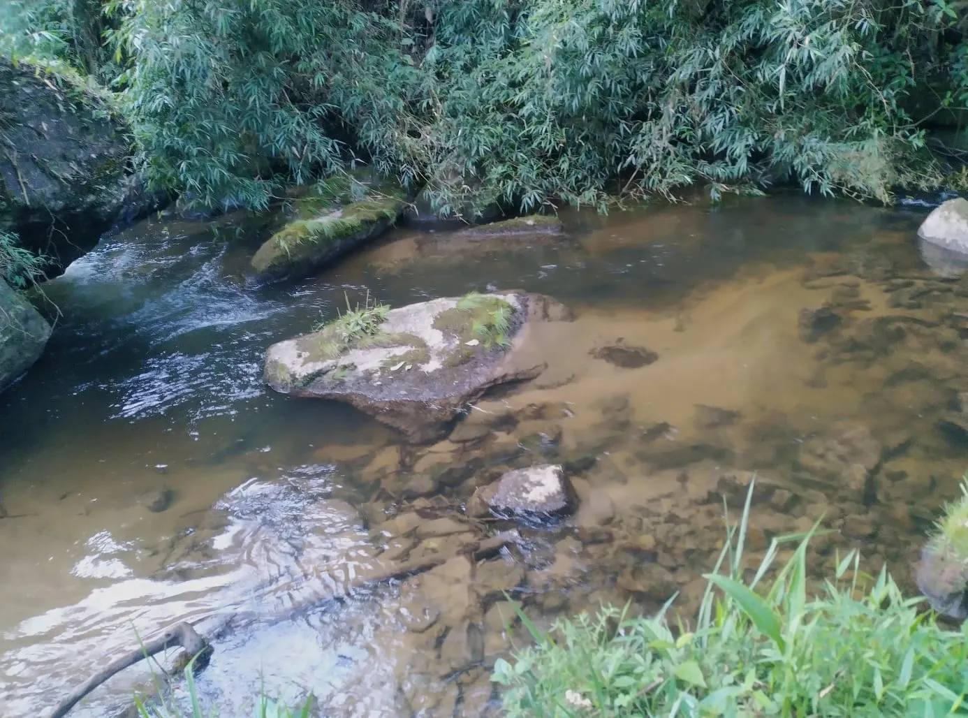 Terreno à venda de 24 ha em Bocaina de Minas, MG, Brasil
