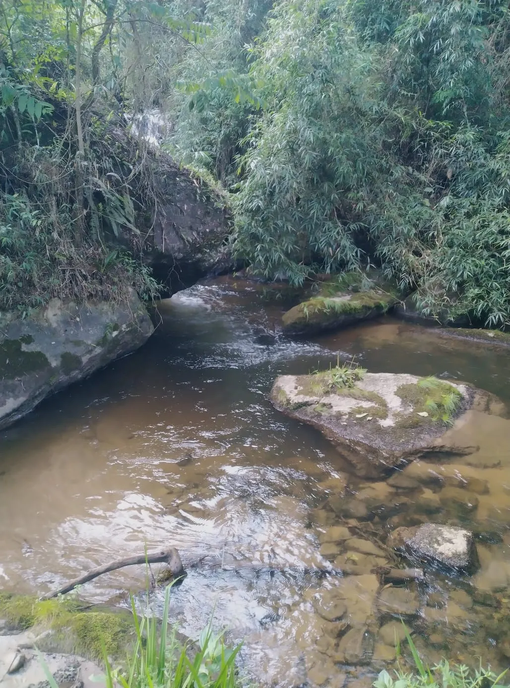 Terreno à venda de 24 ha em Bocaina de Minas, MG, Brasil