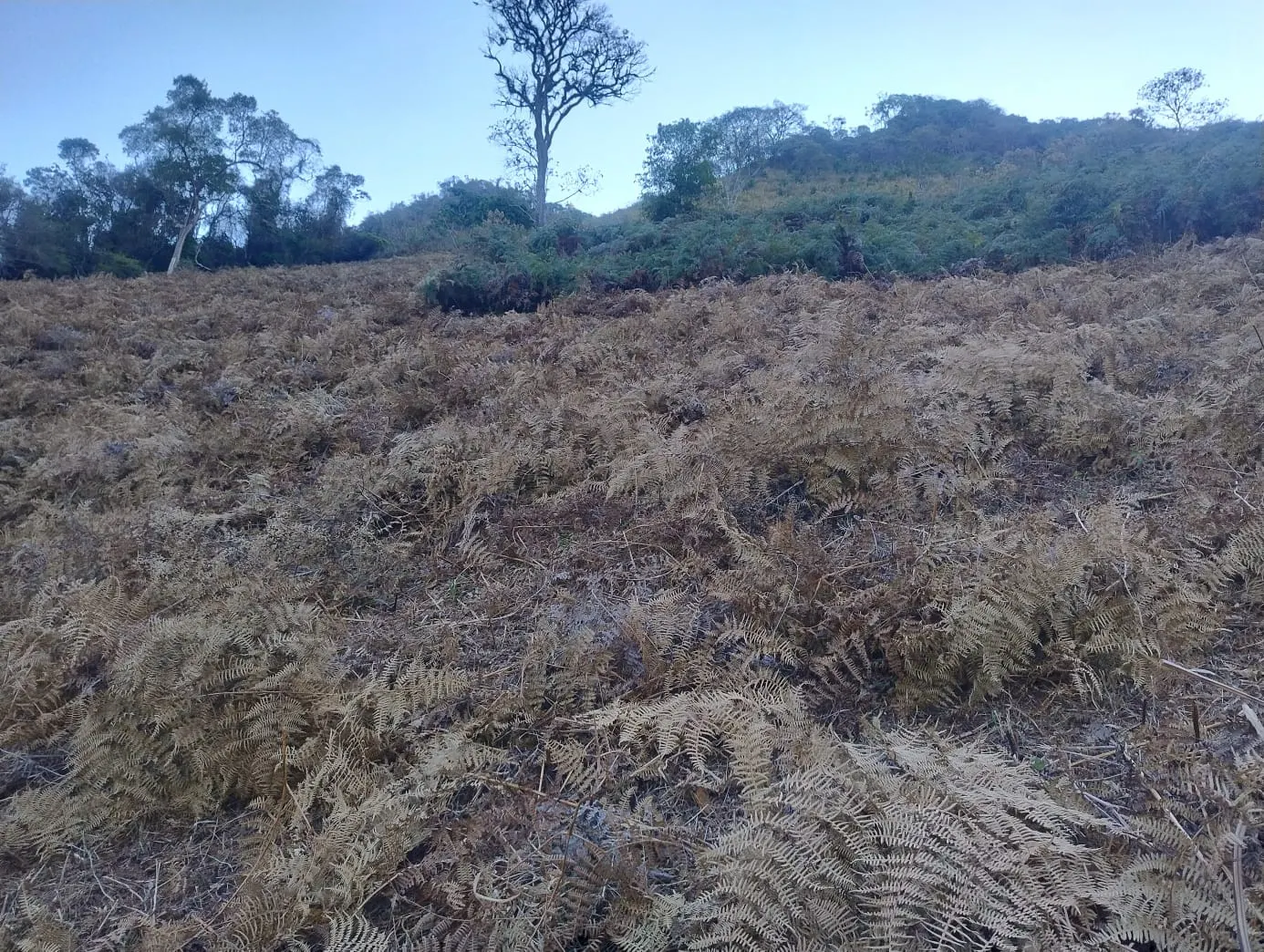 Terreno à venda de 24 ha em Bocaina de Minas, MG, Brasil