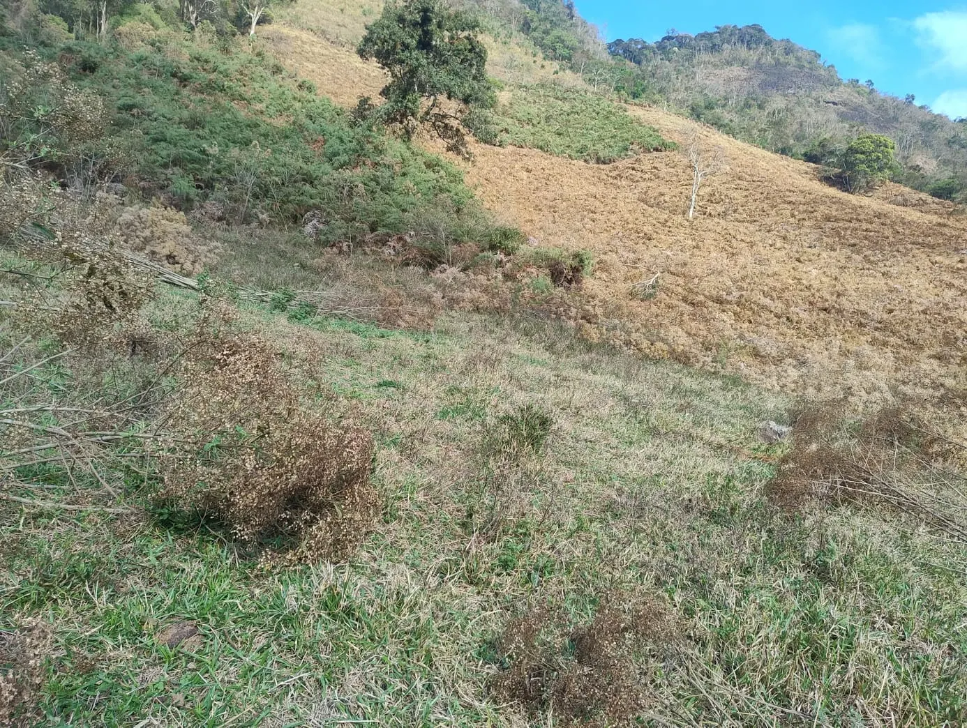 Terreno à venda de 24 ha em Bocaina de Minas, MG, Brasil
