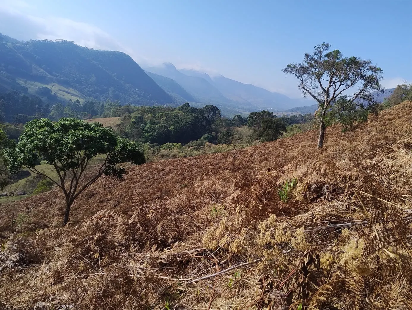 Terreno à venda de 24 ha em Bocaina de Minas, MG, Brasil