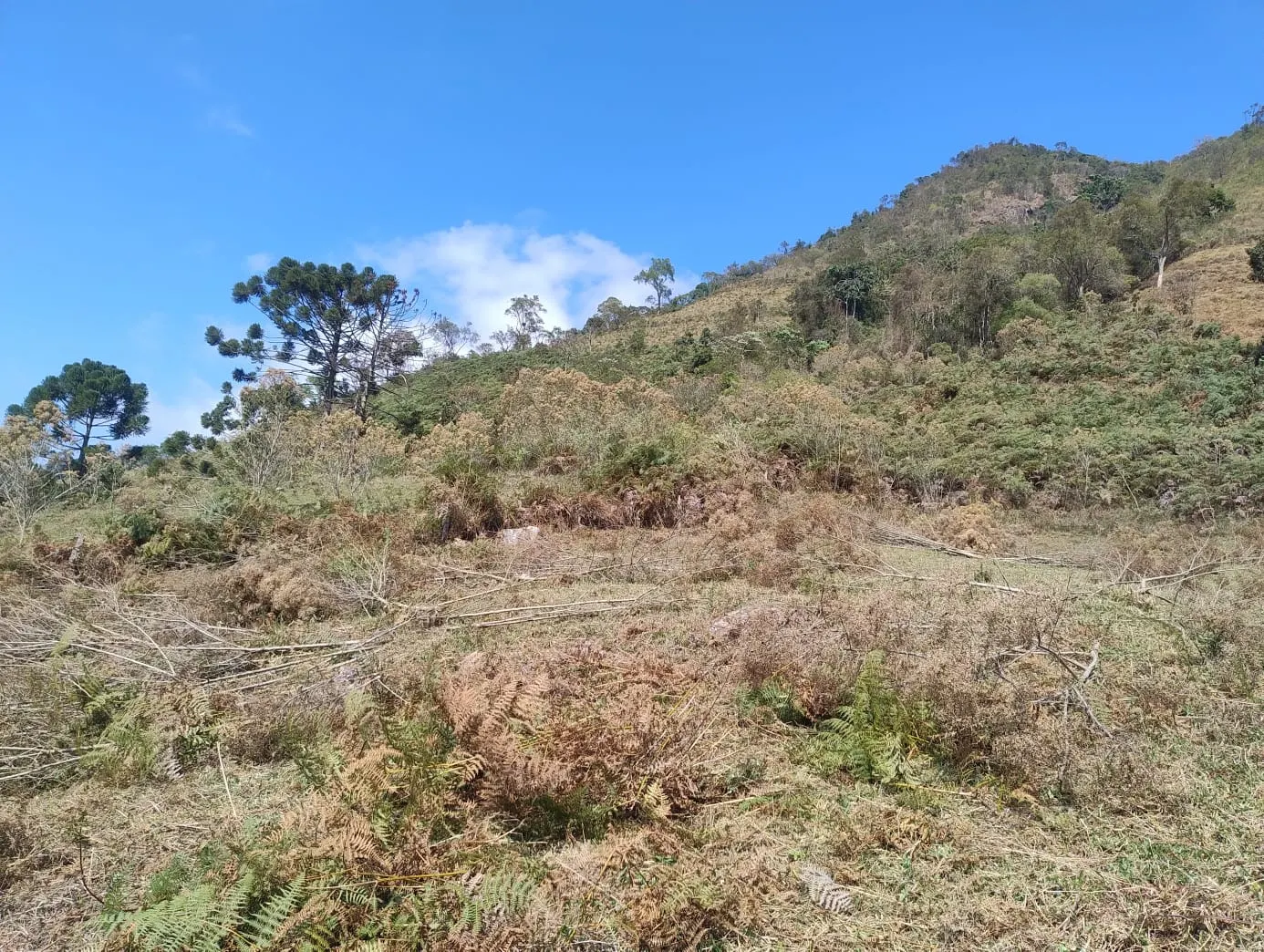 Terreno à venda de 24 ha em Bocaina de Minas, MG, Brasil
