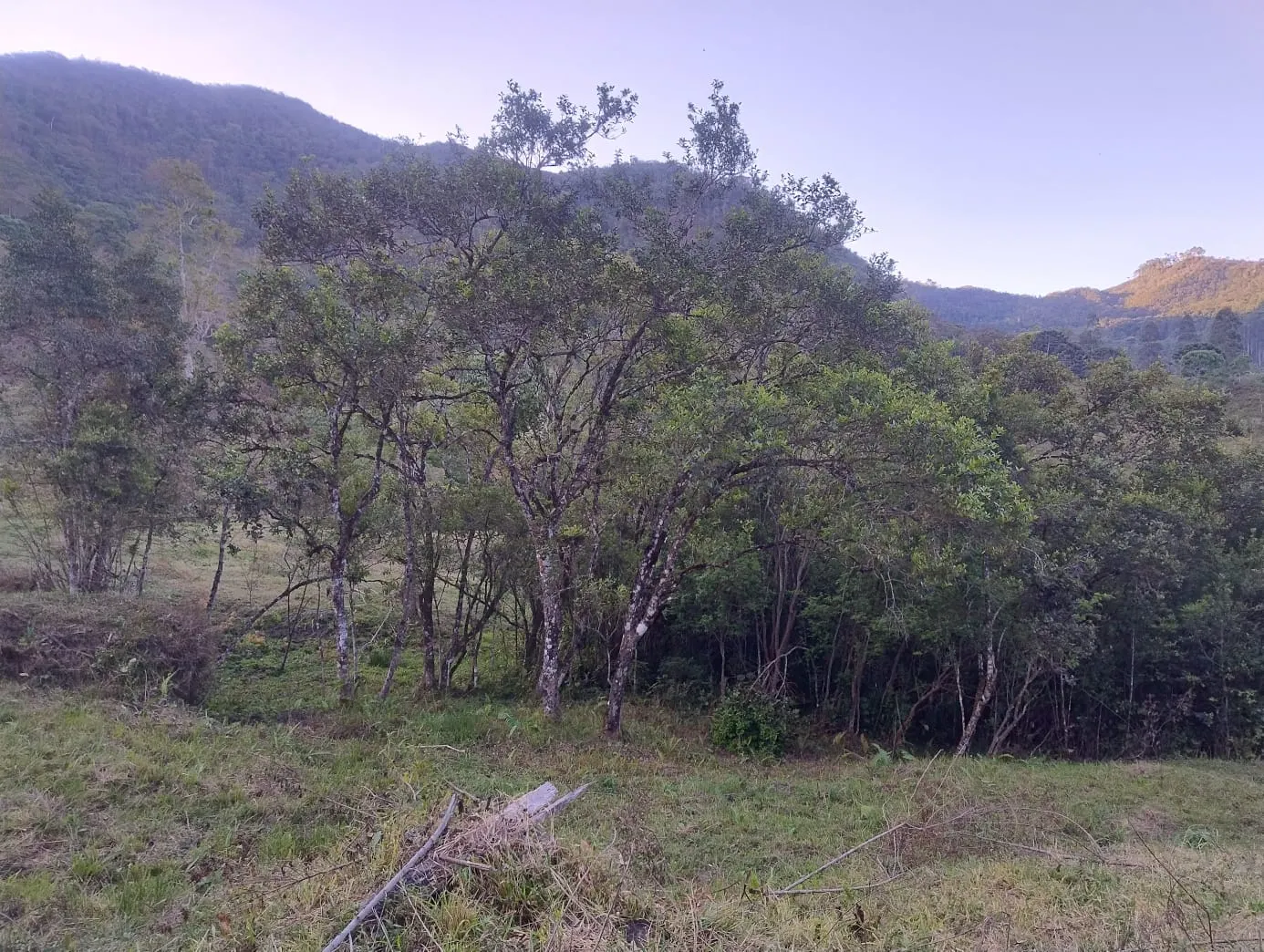 Terreno à venda de 24 ha em Bocaina de Minas, MG, Brasil