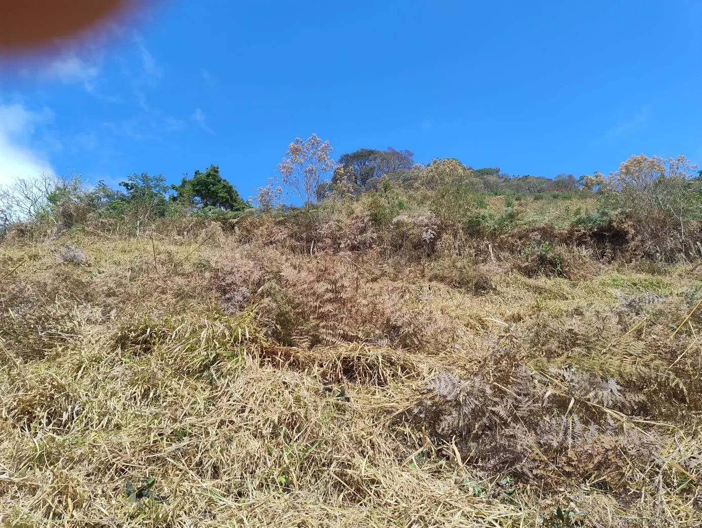 Terreno à venda de 24 ha em Bocaina de Minas, MG, Brasil