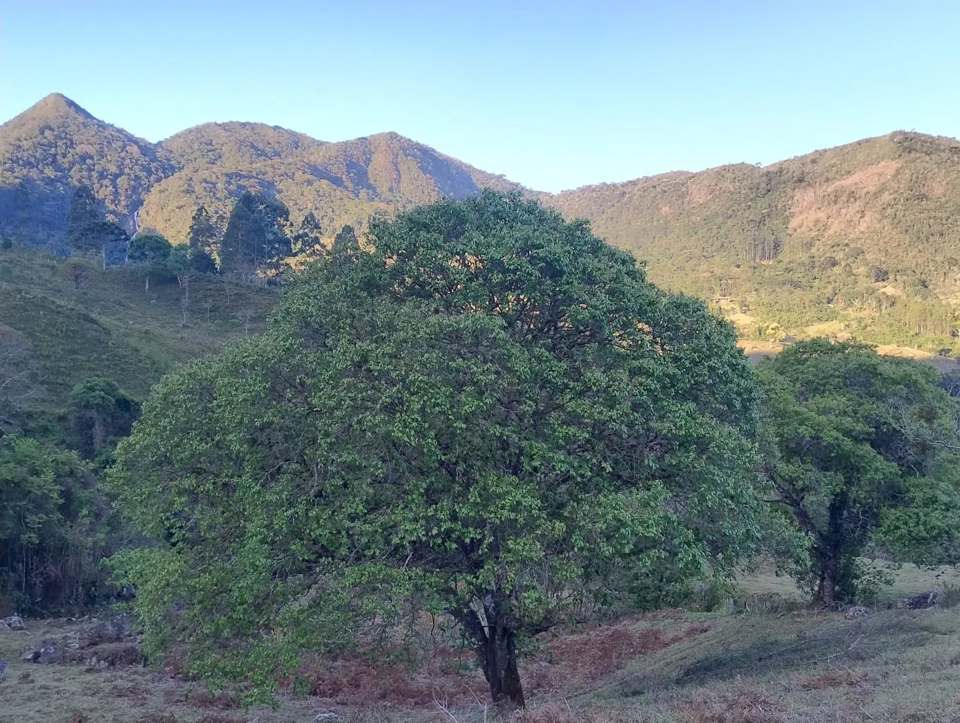 Terreno à venda de 24 ha em Bocaina de Minas, MG, Brasil