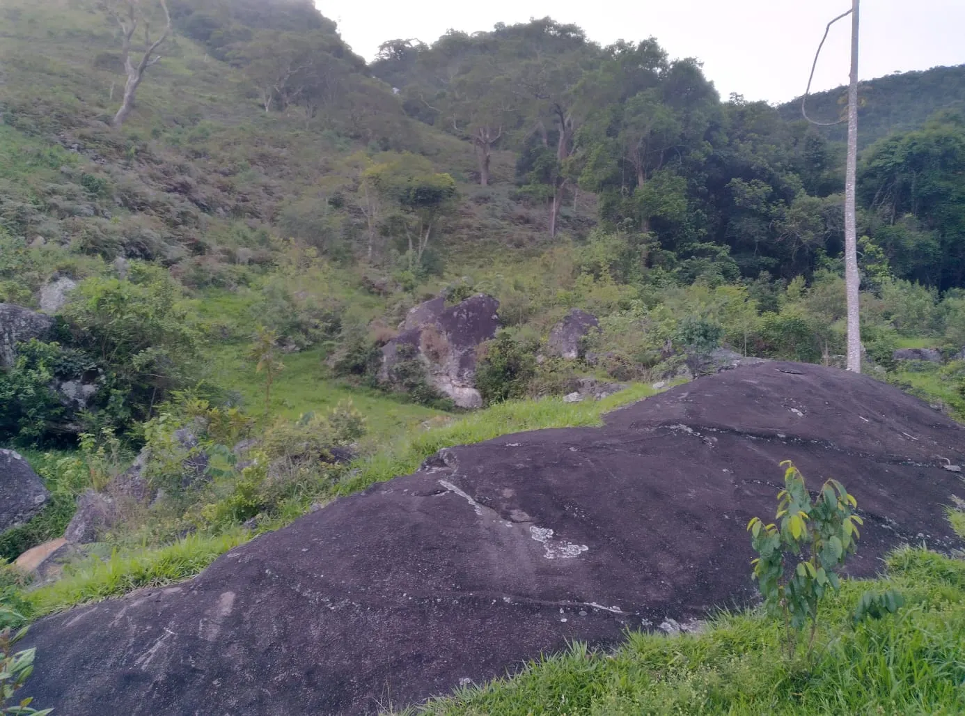 Terreno à venda de 24 ha em Bocaina de Minas, MG, Brasil