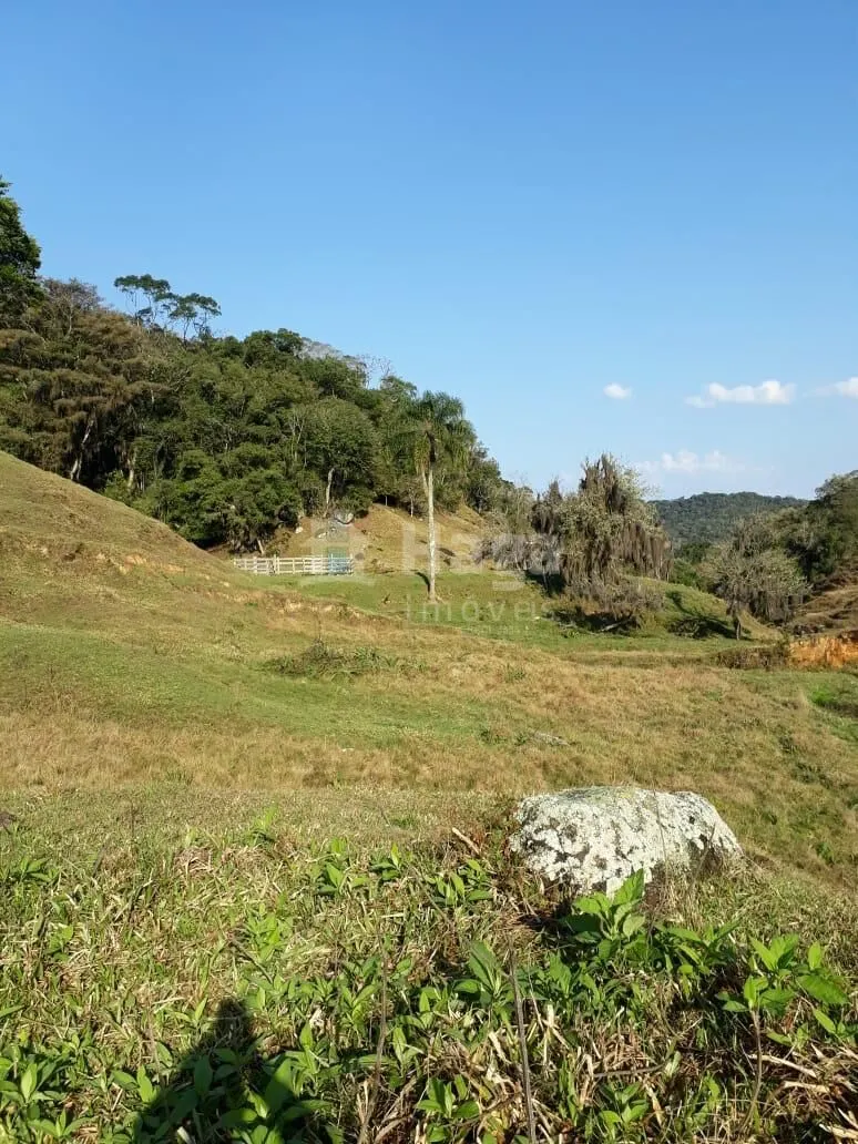 Fazenda à venda de 35 ha em Angelina, SC, Brasil