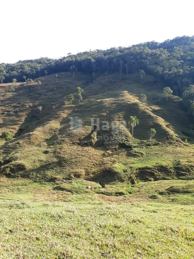 Fazenda à venda de 35 ha em Angelina, SC, Brasil