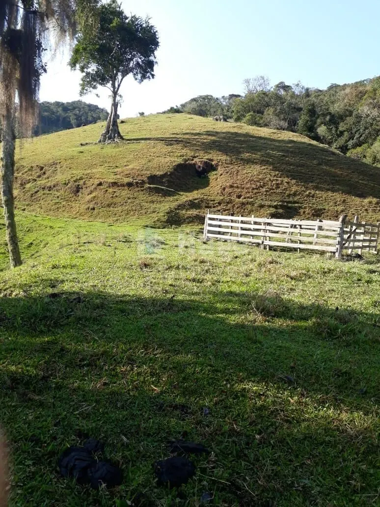 Fazenda à venda de 35 ha em Angelina, SC, Brasil